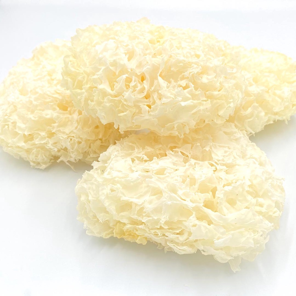 Nấm tuyết trắng