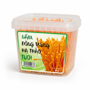 Đông trùng hạ thảo tươi 100g